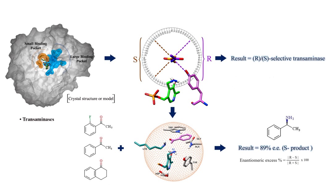 Algorithm to Predict Stereospecificity of Transaminase and its Enantiomeric Excess for a Given Substrate Using the Spatial Arrangement of Residues in the Active Site