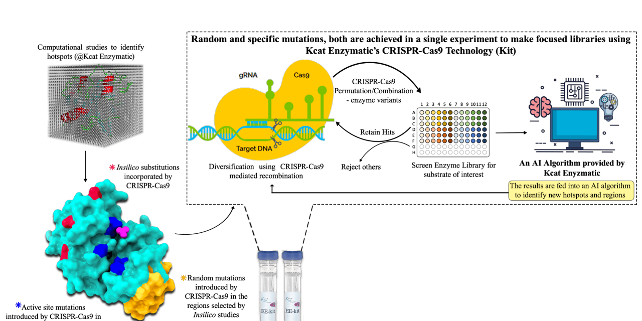 In-silico guided CRISPR-Cas9 Driven  Enzyme Engineering Technology (Kit); Easy and Fast way for Engineering Enzymes