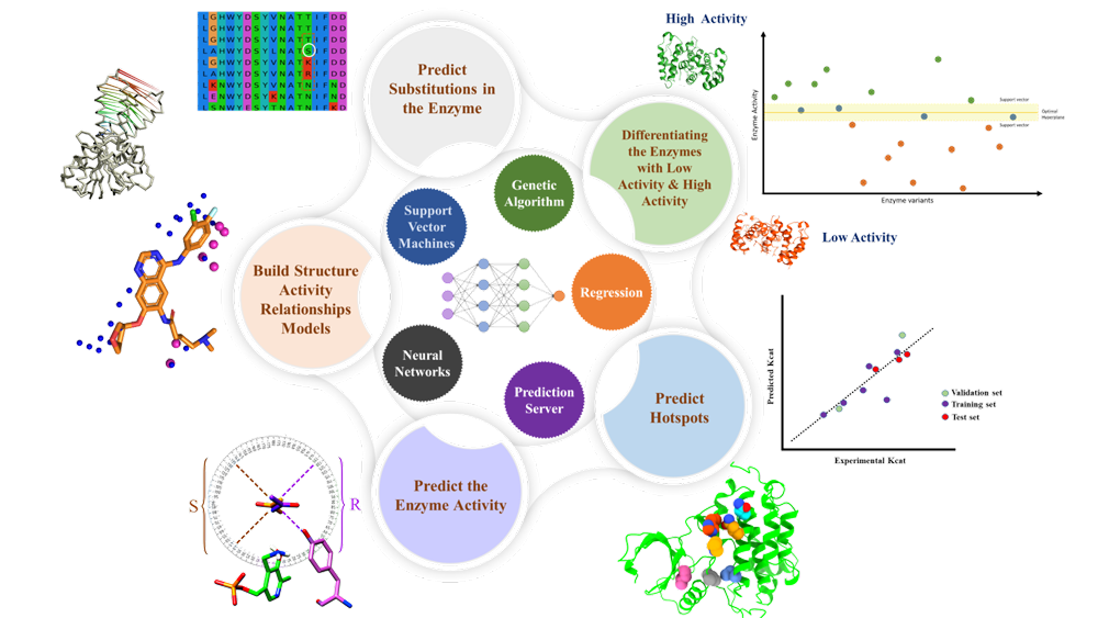AI/ML Technologies For Enzyme Engineering – Kcat Enzymatic