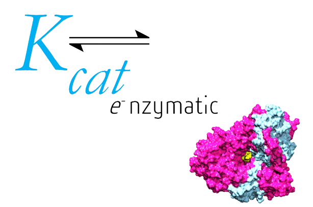 Kcat Enzymatic