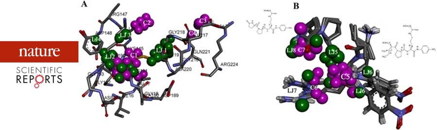 A Receptor Dependent-4D QSAR Approach to Predict the Activity of Mutated Enzymes