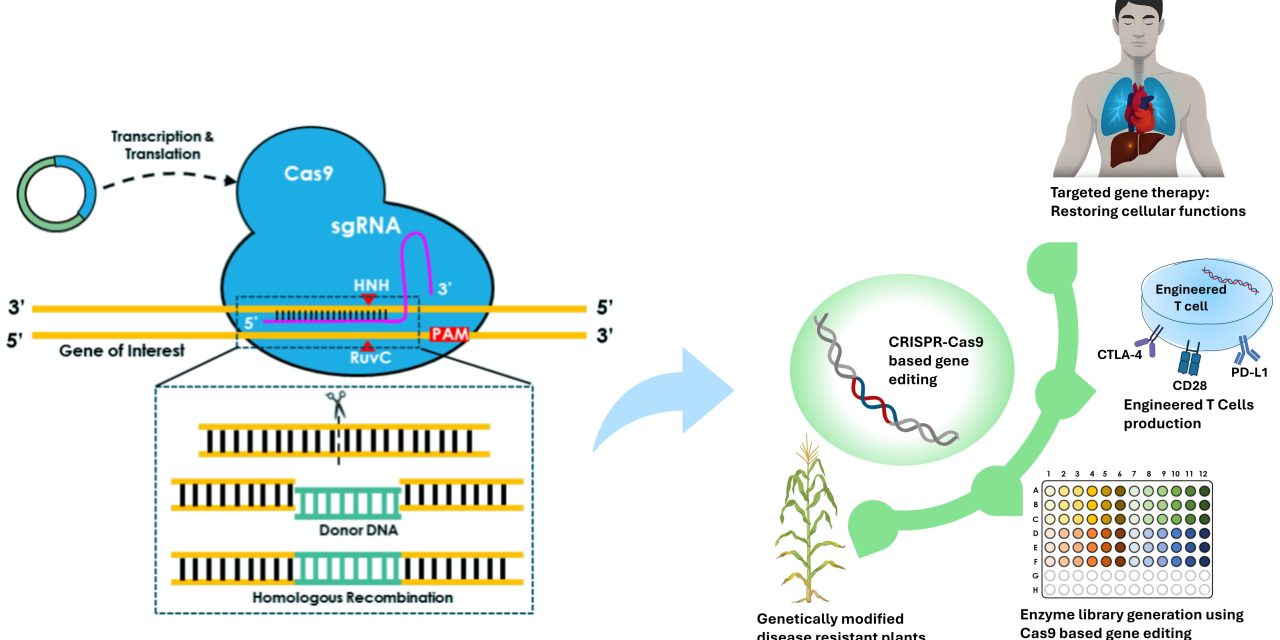 INSILICO GUIDED CRISPR-CAS9 DRIVEN ENZYME ENGINEERING FRAMEWORK