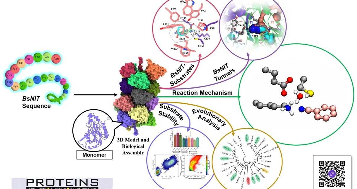 Unraveling the Structure–Function Relationship and Mechanism of an Important Spiro-Forming Nitrilase Using Metadynamics and Quantum Molecular Dynamics