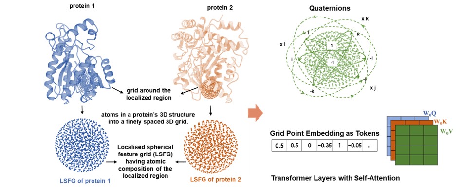 LSFG: Method for capturing atomic details of proteins using a 3d grid for mutational analysis