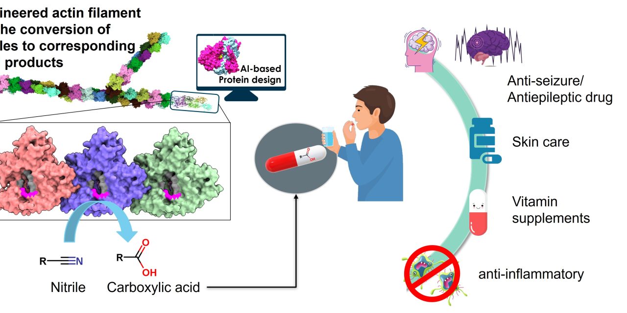 Engineered cytoskeleton actin polypeptide with nitrilase activity