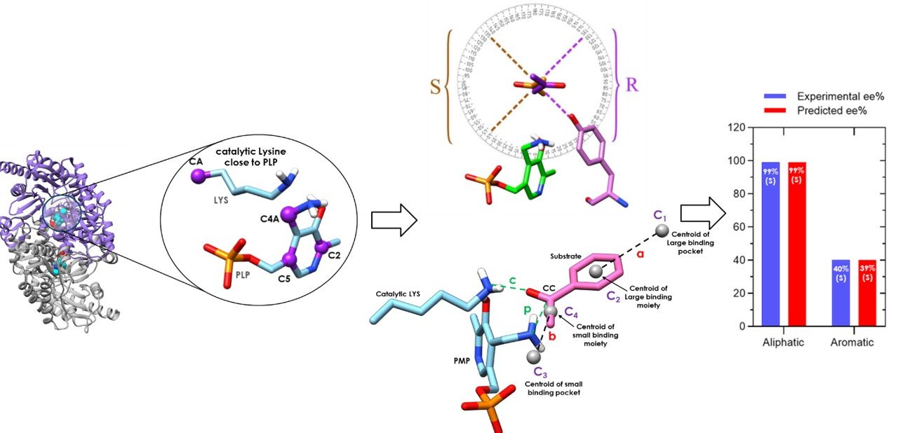 AN ARTIFICIAL INTELLIGENCE METHOD TO PREDICT SELECTIVITY OF TRANSAMINASES AND ENANTIOMERIC EXCESS OF TRANSAMINASE-KETONE REACTIONS